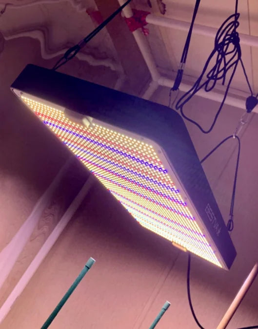 BESTVA grow lights Full Spectrum 1000W lm301h evo quantum board grow led for indoor plants hydroponics growing system greenhouse