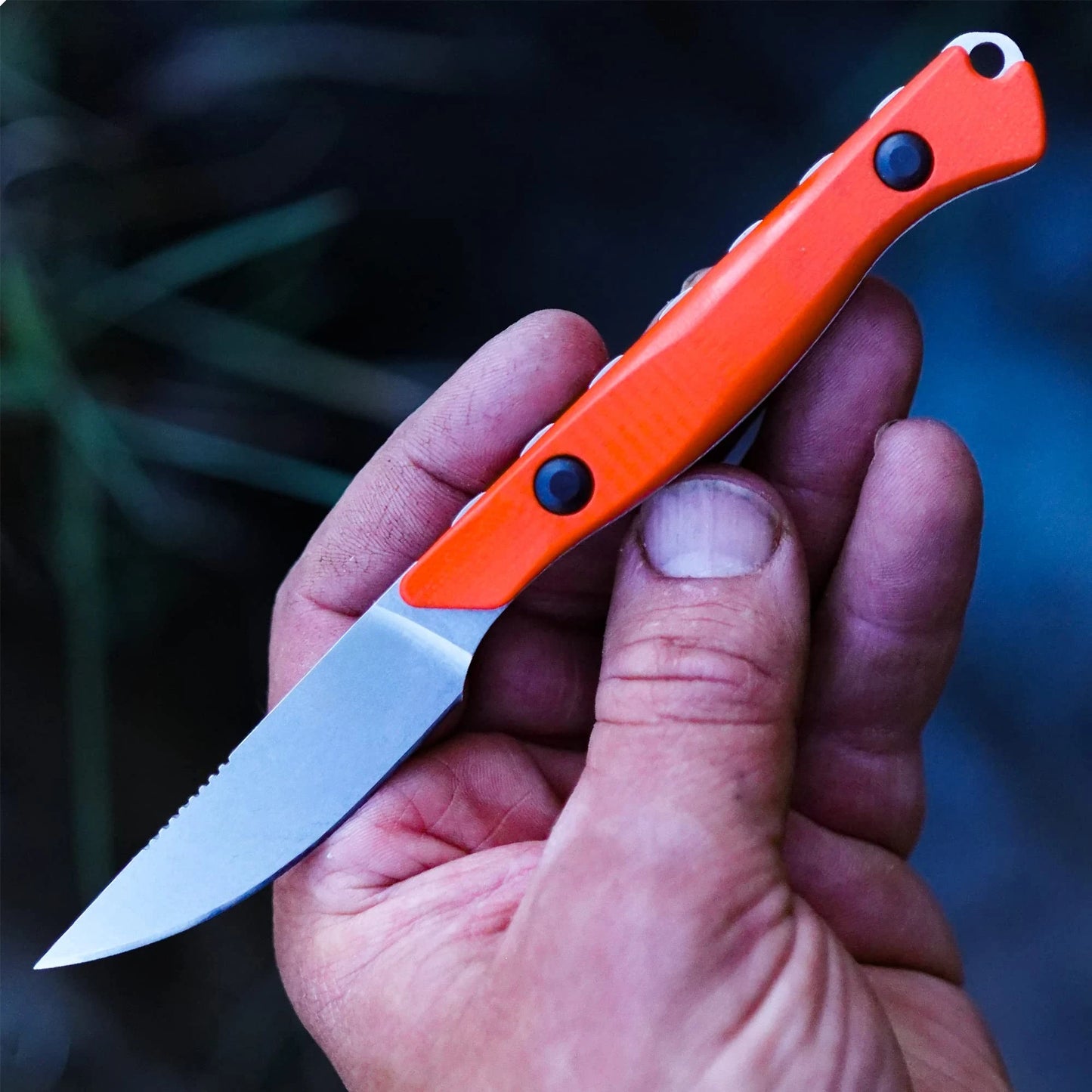 15700 Flyway Portable Small Straight Knife Outdoor Camping Survival EDC Practical Cutting Knife Fishing Knife Hiking Tool