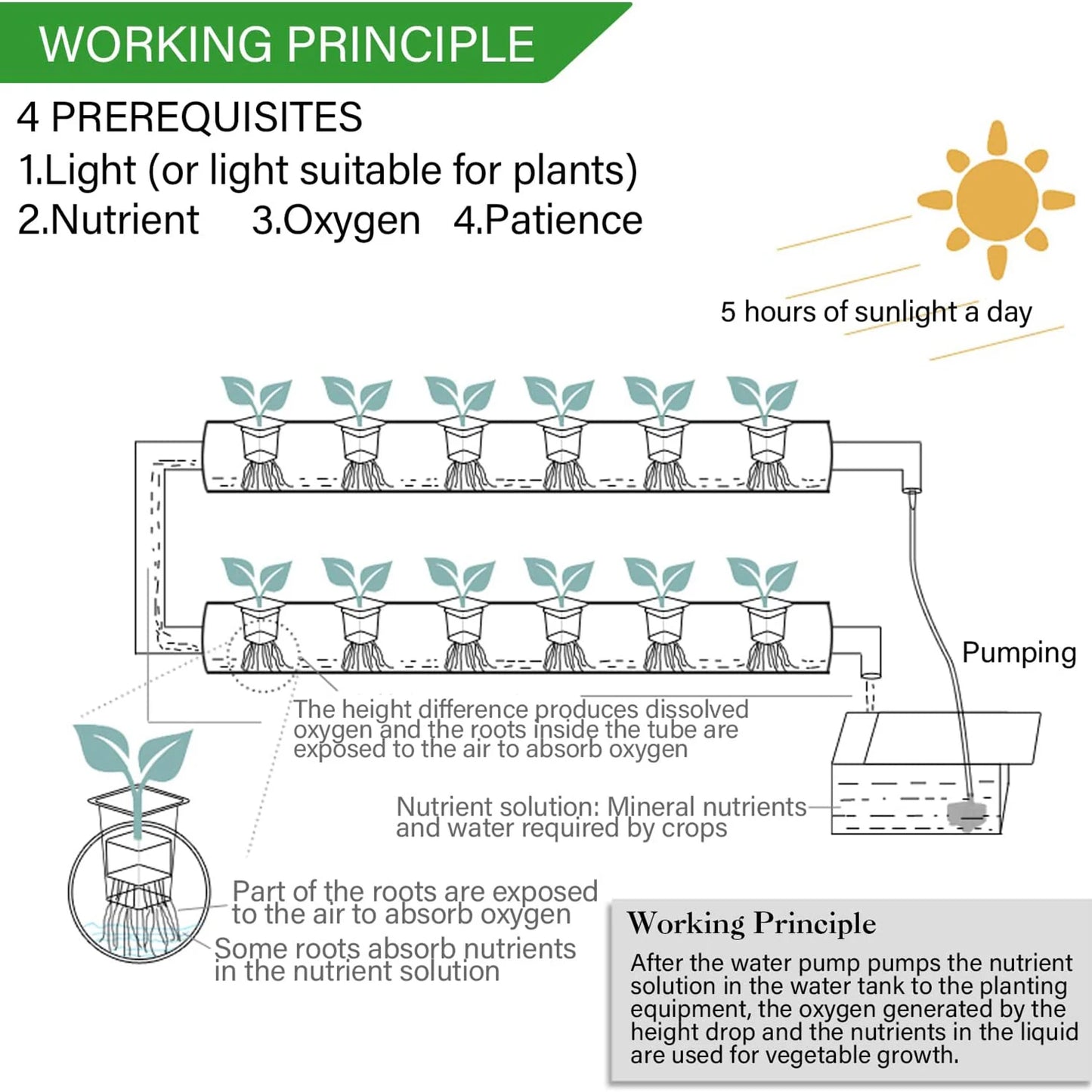Hydroponics Growing System Kit,BHTNYOO 36 Plant Sites Food Grade-PVC Pipes Planting Equipment Hydroponic Garden Tool(110V-220V)