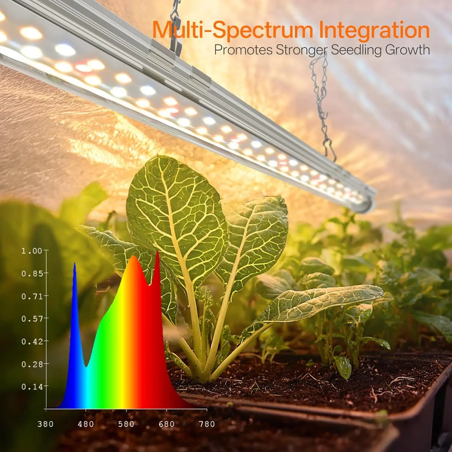 Indoor Greenhouse with Grow Light, Mini Grow Tent for Seed Starting & Plant Growth, 18W Timer Light, Waterproof Base